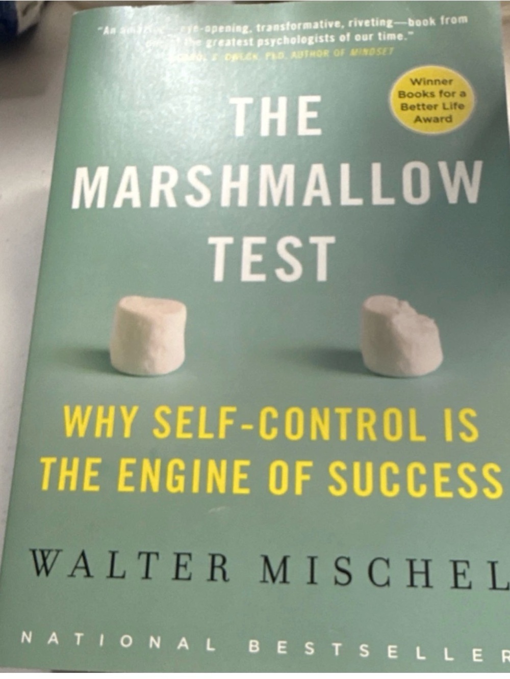 The Marshmallow Test by Walter Mischell - Mint Green Cover